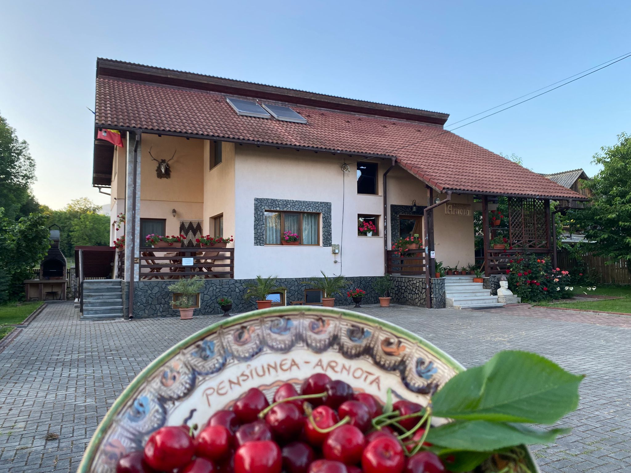 053851ff-83bc-481c-ba07-a8ddece0851c