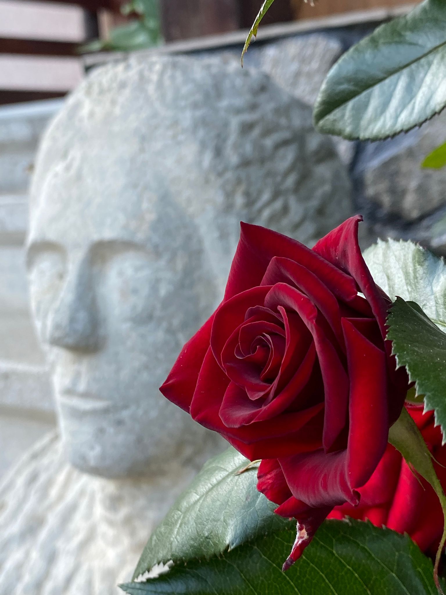 06054df0-dfc7-494e-8e34-85b4ab813ade