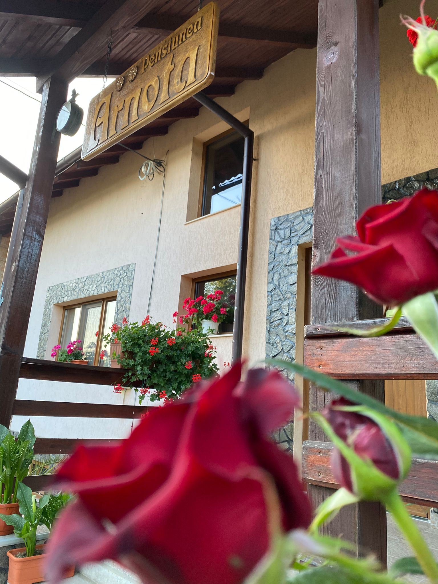 11a5125f-725f-4e65-a67b-c2db713daf65