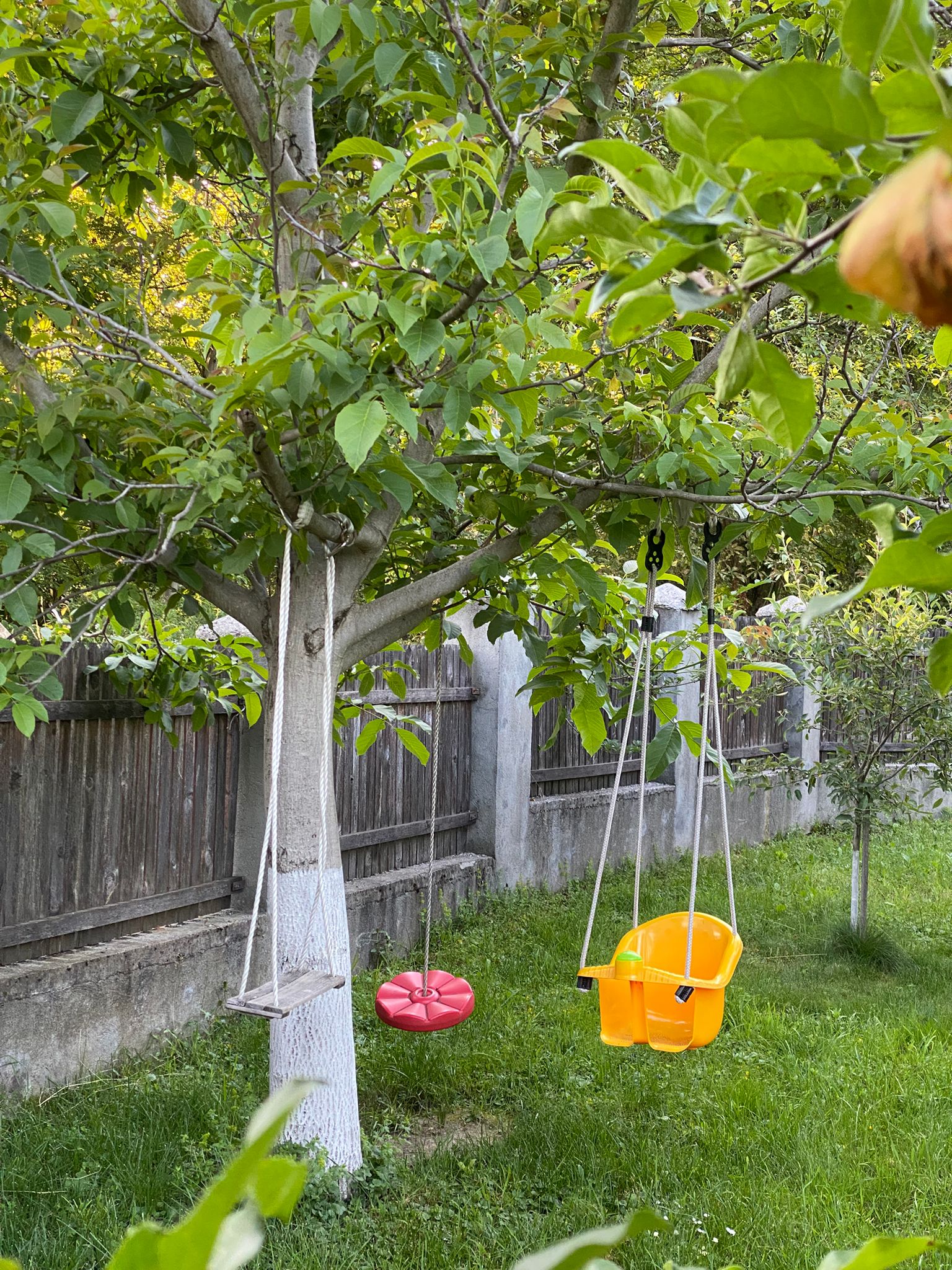 150fb452-8ed8-40c3-b8cd-79644a8d3673