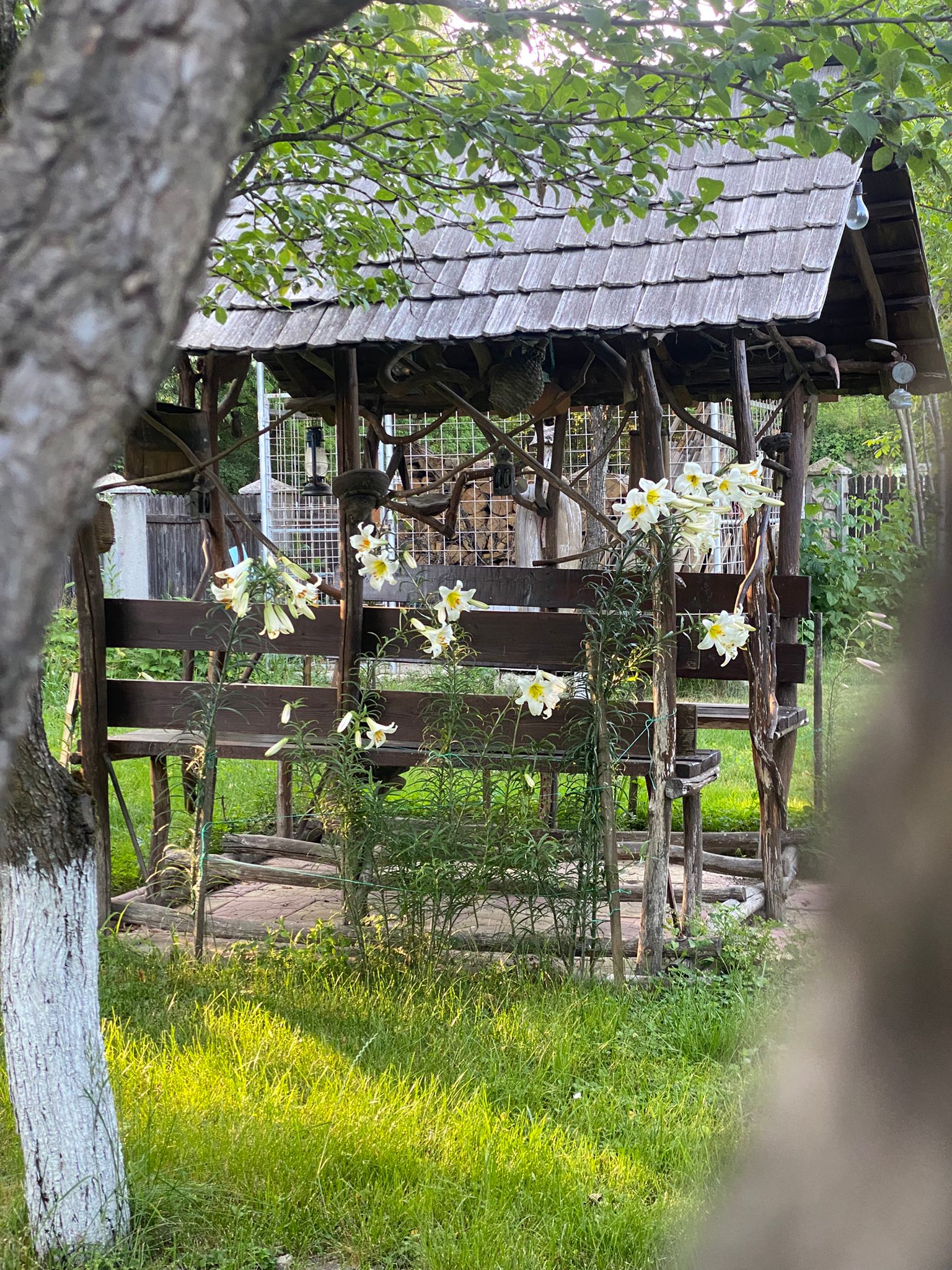 1f9d5e43-00ff-4fd4-8acc-3ef42e3a3bc9