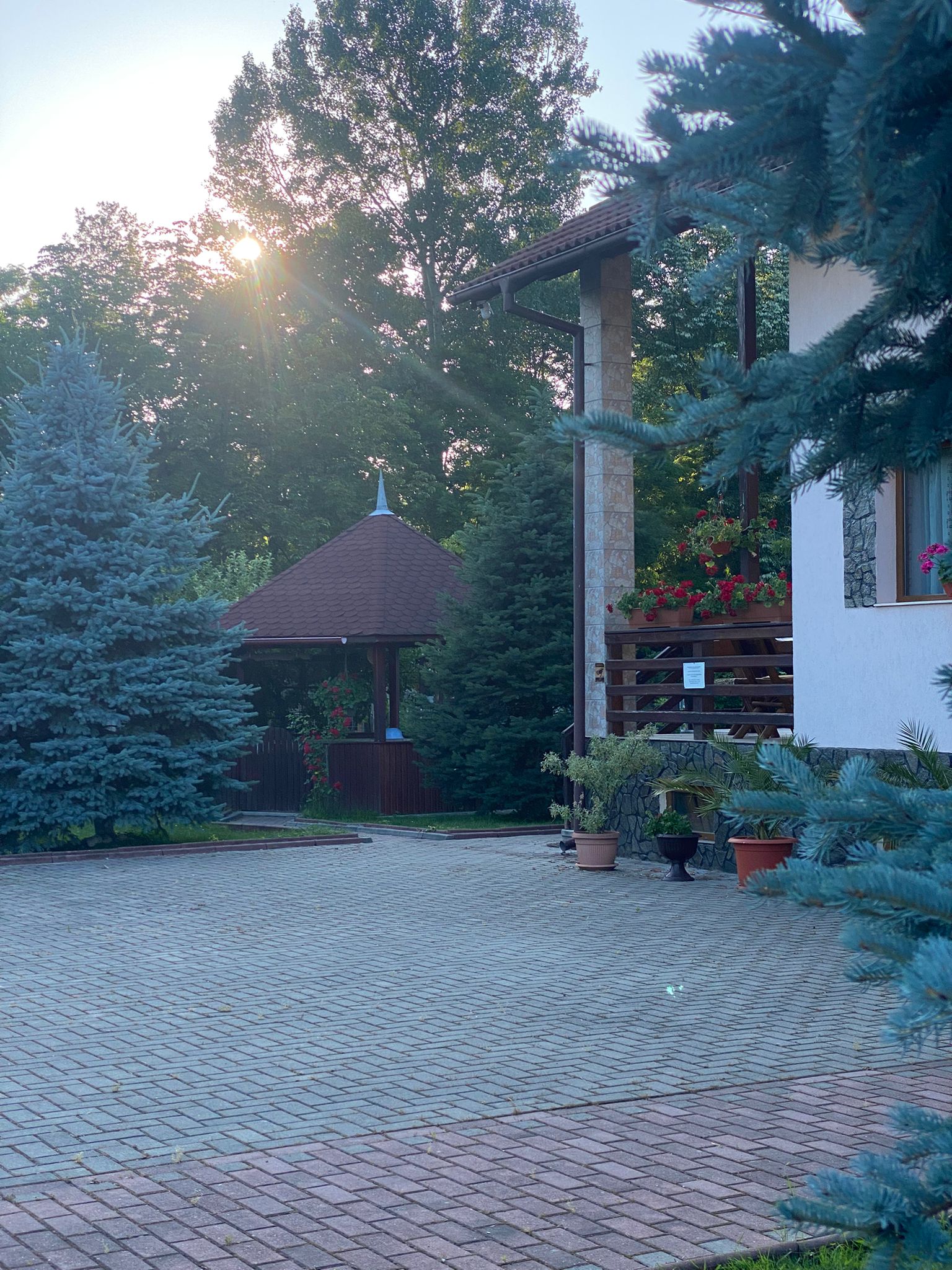 25f0e194-2d39-4730-abb3-16b9716806c8