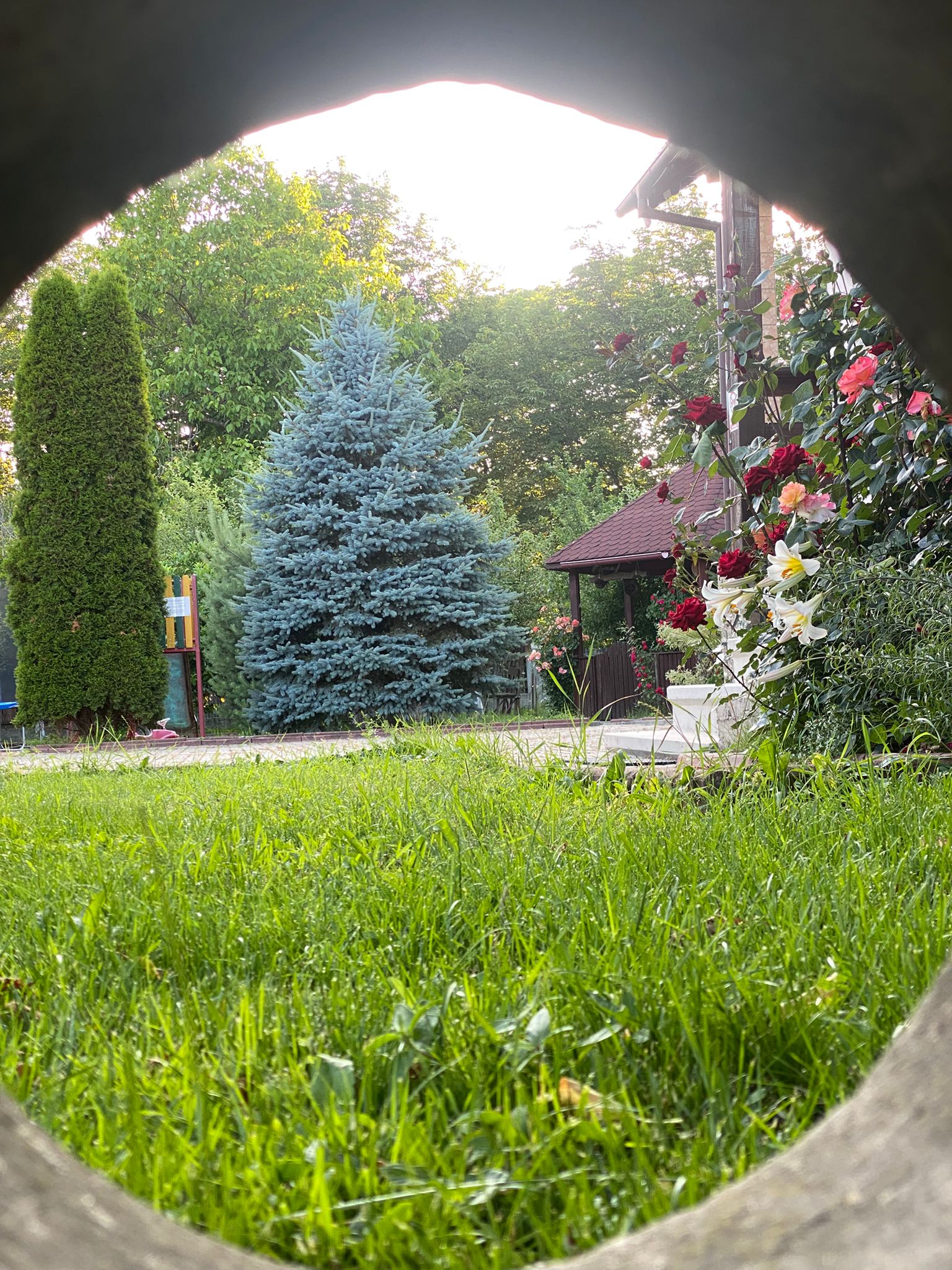 2e0ff3af-31c0-4e72-a2db-51d6a6f2cc56