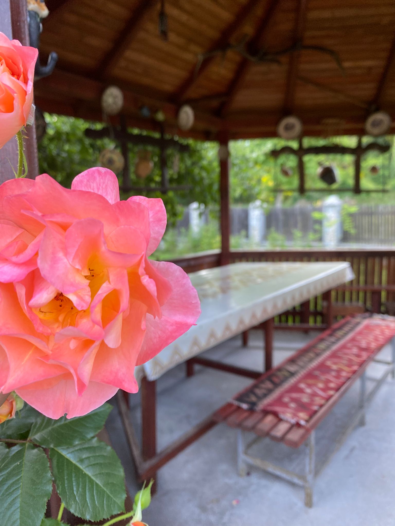 4ff4ca34-338f-49a5-8587-3011e34426b8