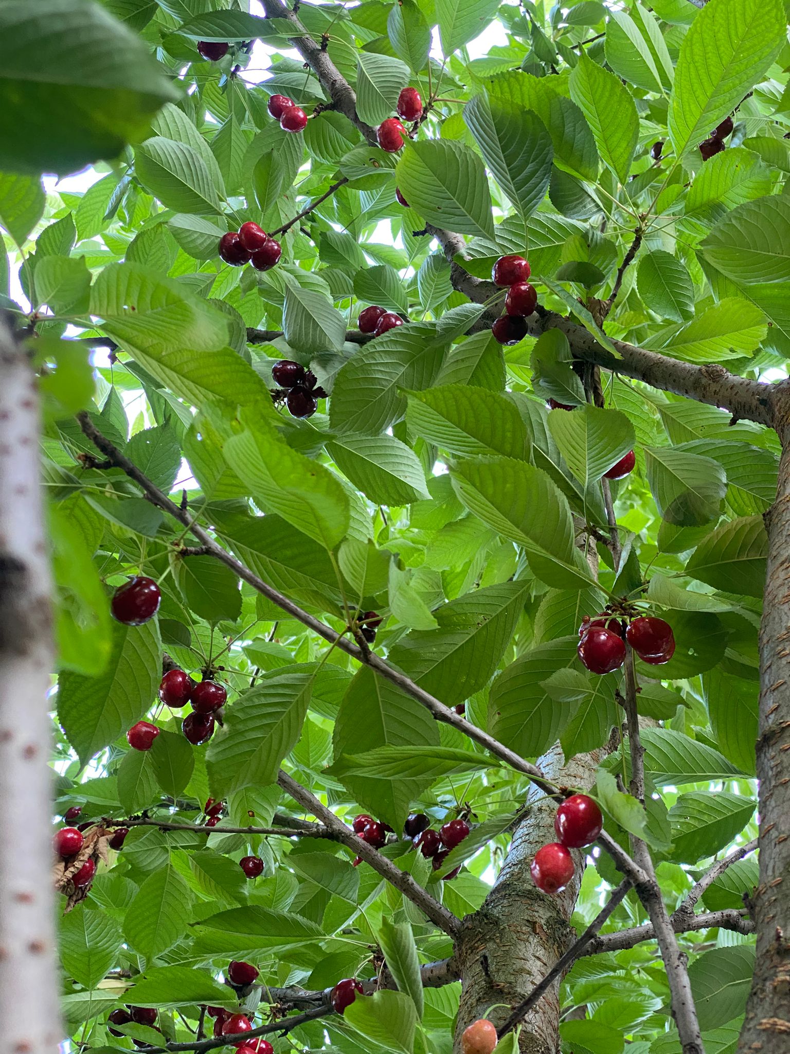 56bc772d-05ef-482b-878d-33e37220f988