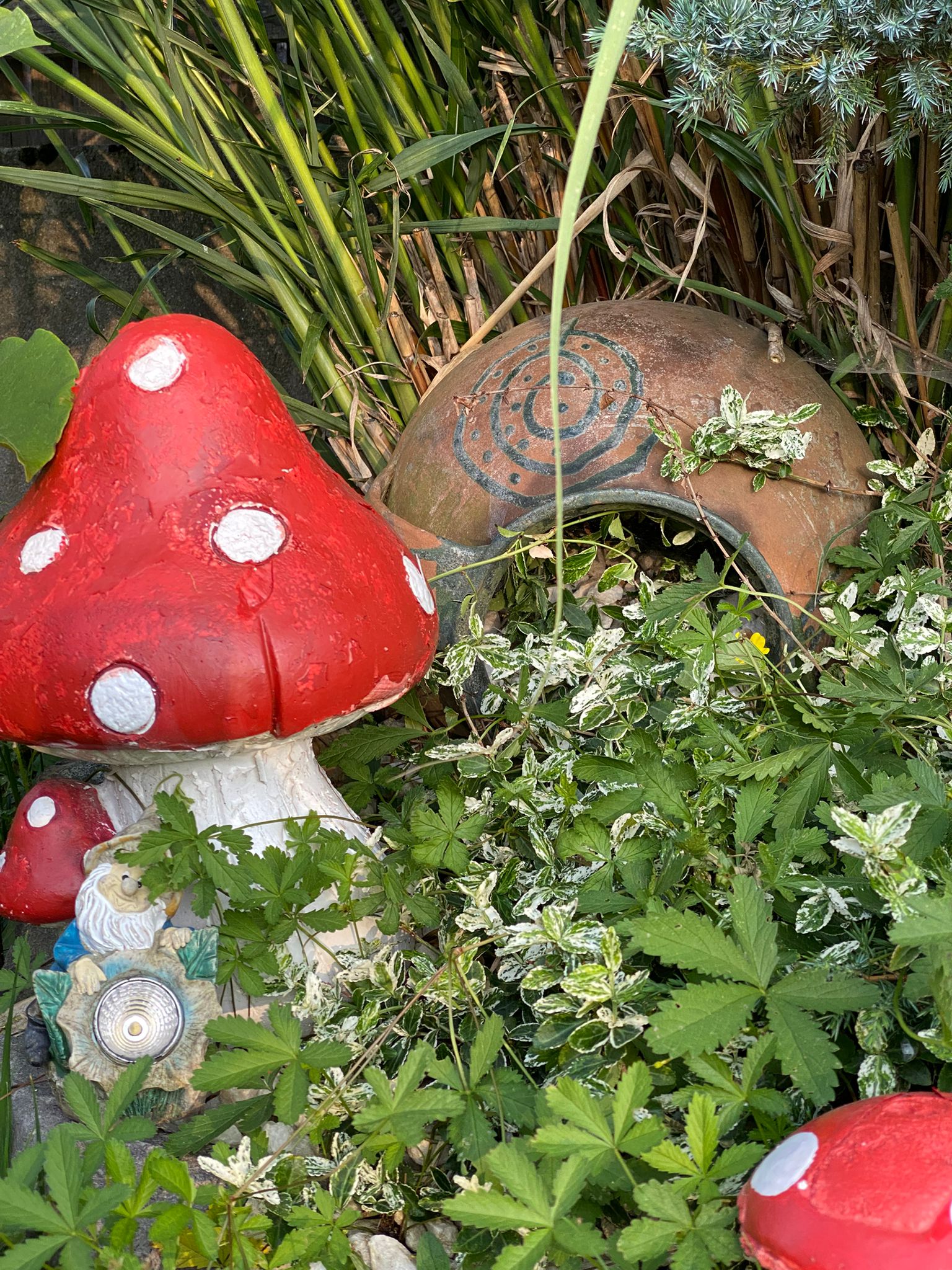 578ea48e-1af6-4f6f-b8fa-d4b1043da3dd