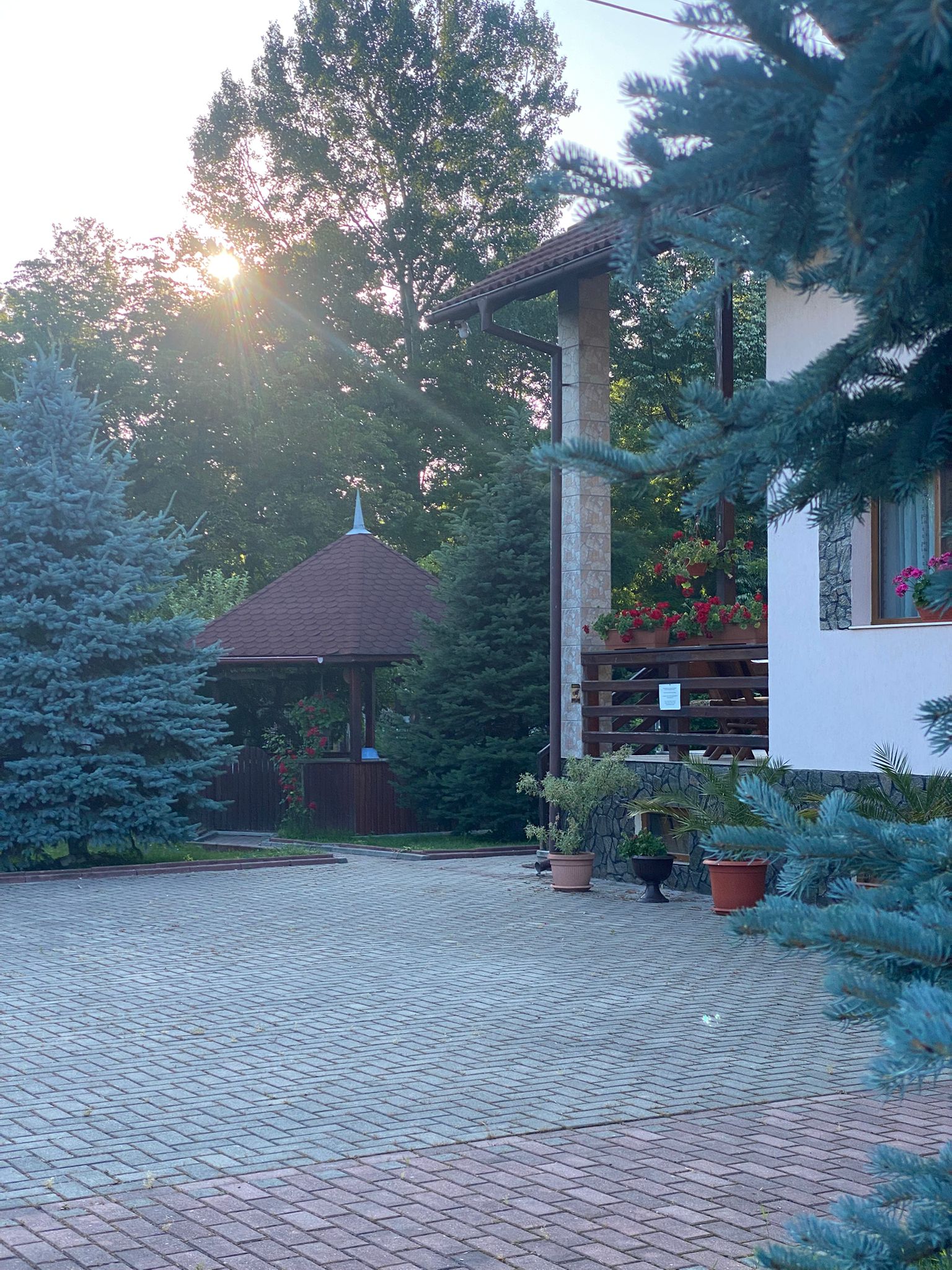 6cd08d77-c9e8-4ea7-b281-907b2faf8875