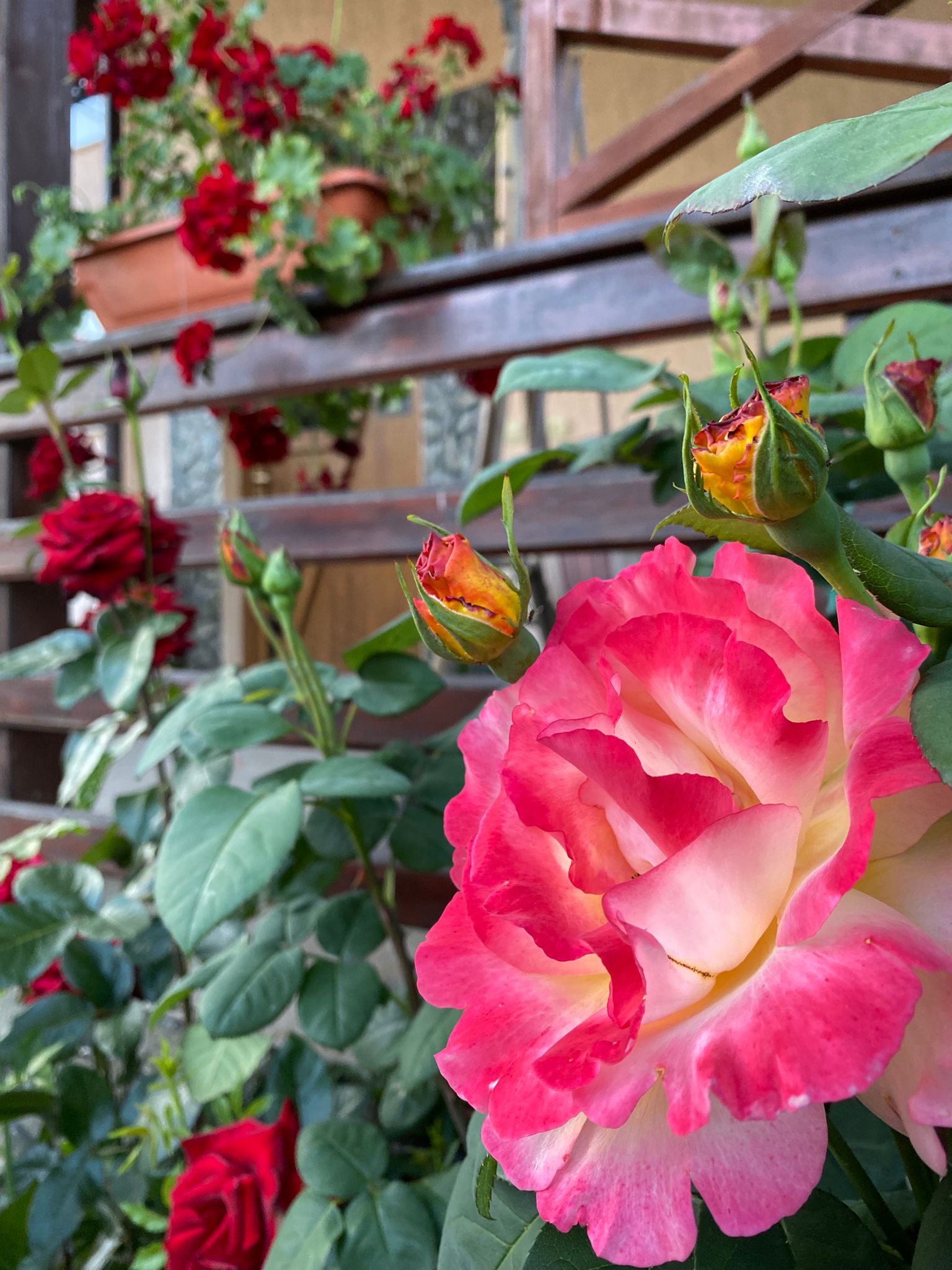 6dce2ee8-6ad0-4a9a-95db-8c6fbb10e242