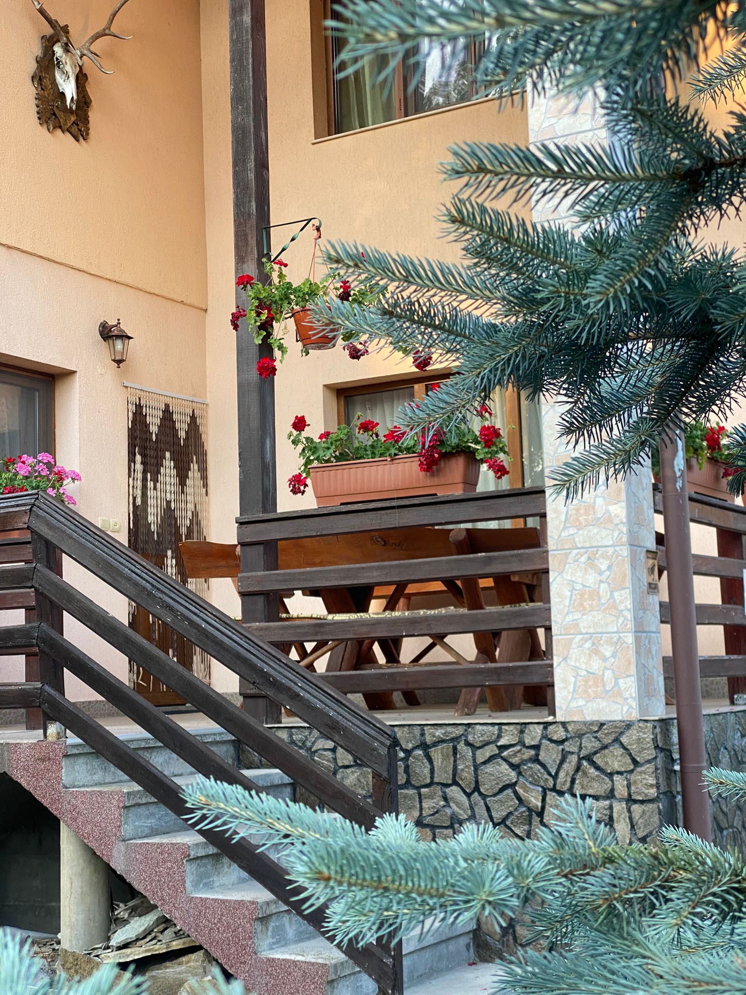 8fb43008-18be-4bf1-8106-efa0d674e38e