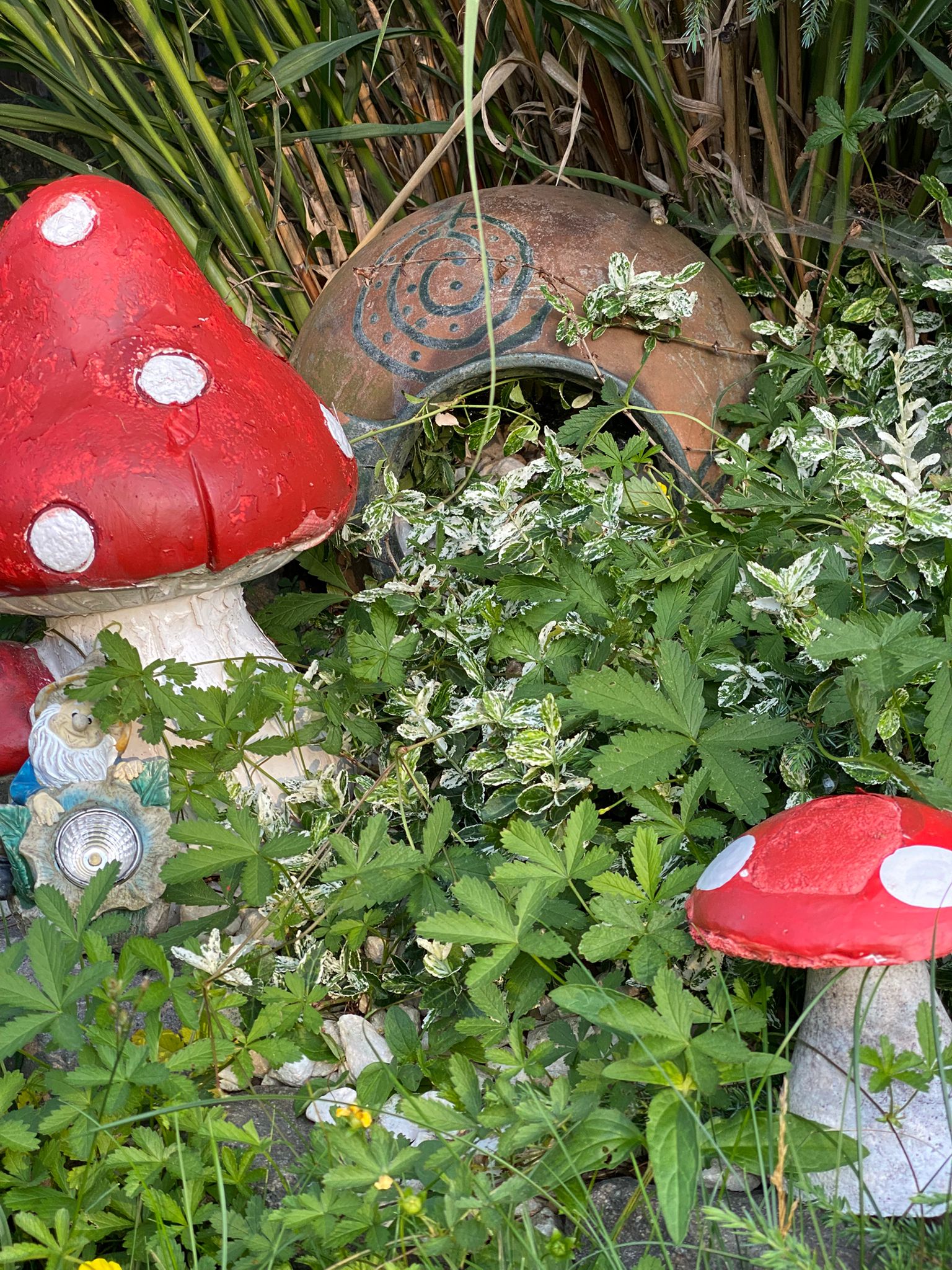 95041786-7e58-436d-976f-67c200d2cca4