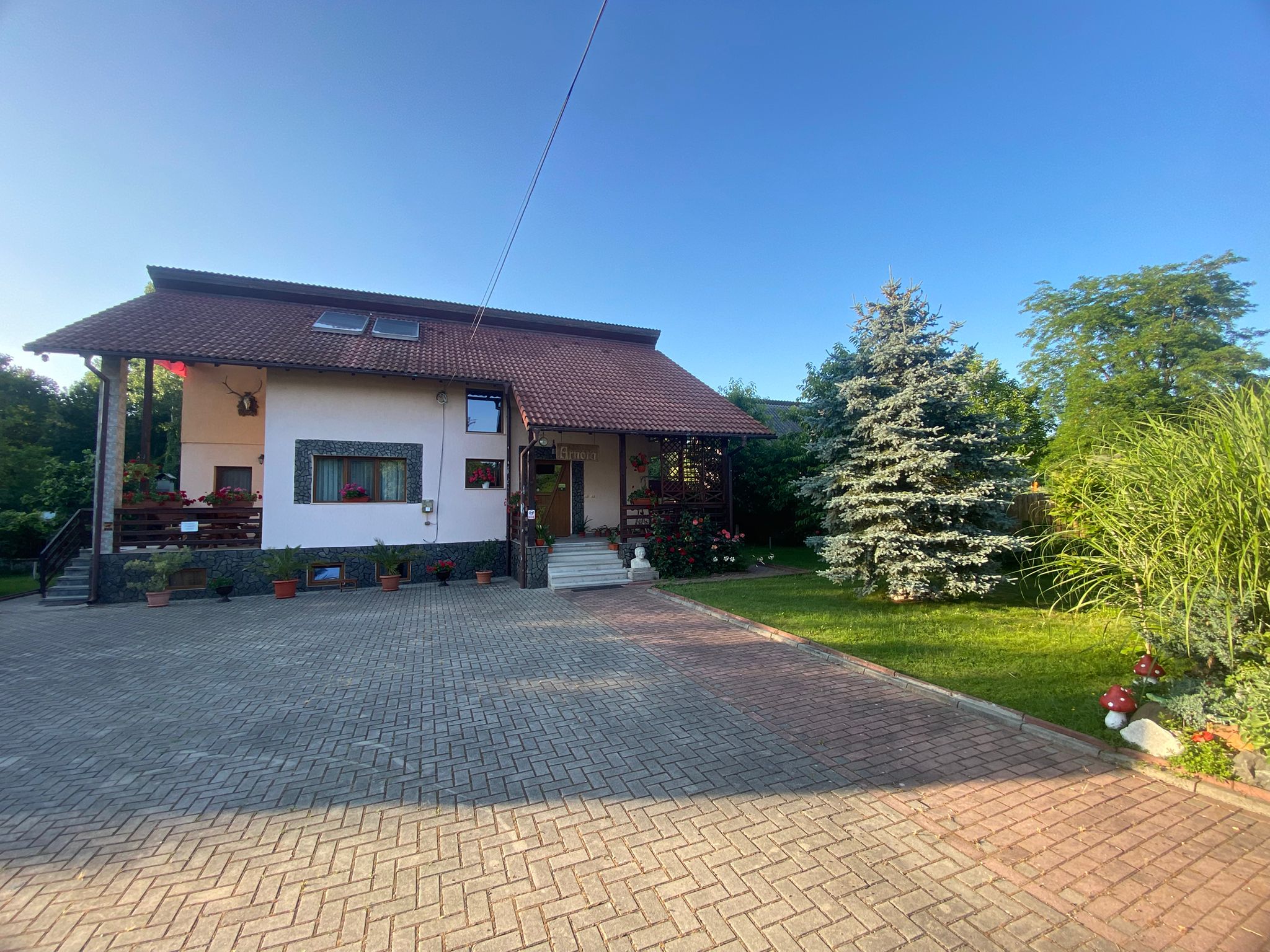 b19f12fe-23ec-4f3a-8604-33d5cf98bcb7