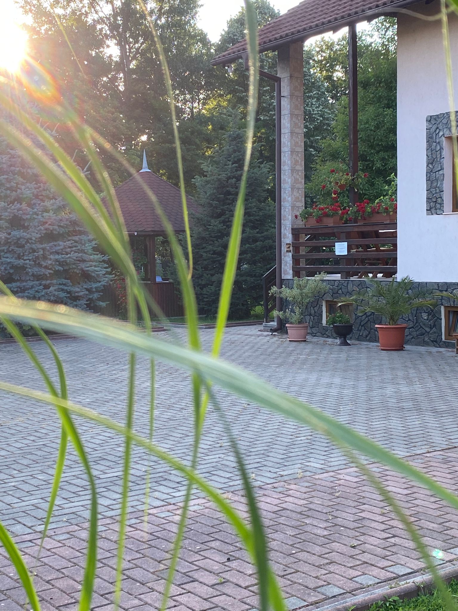 c38f643e-fe43-4738-96dd-52e04d1eb732