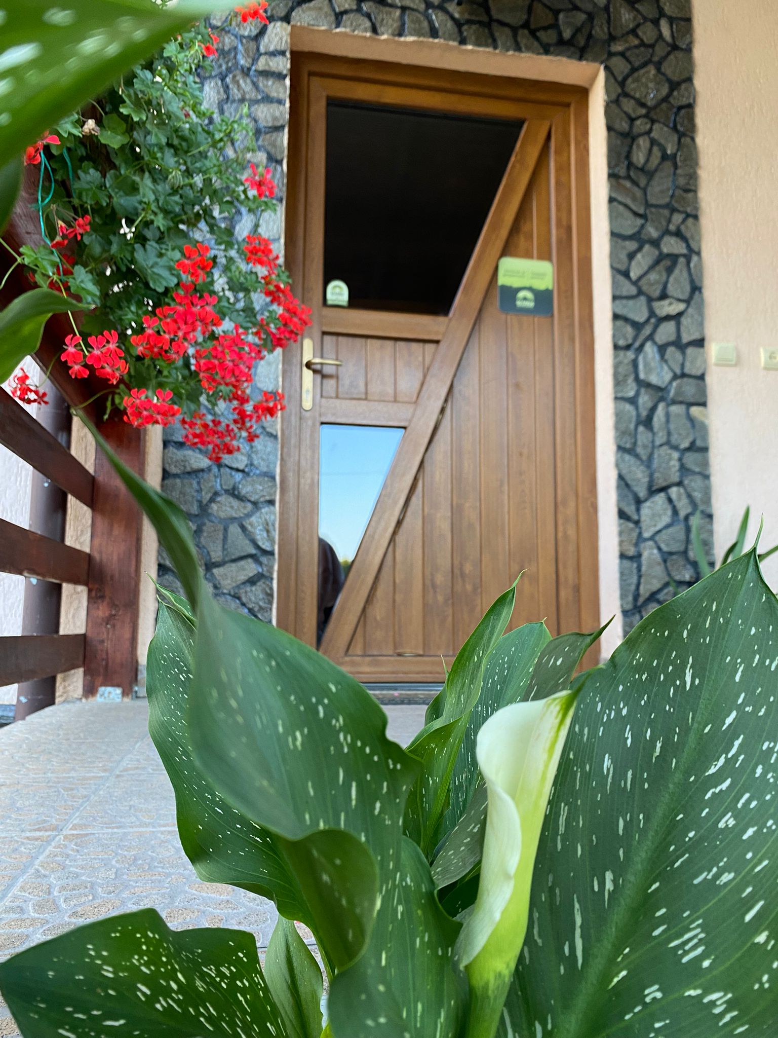 c54198e4-8d58-4dcf-82f1-b8079e1be650